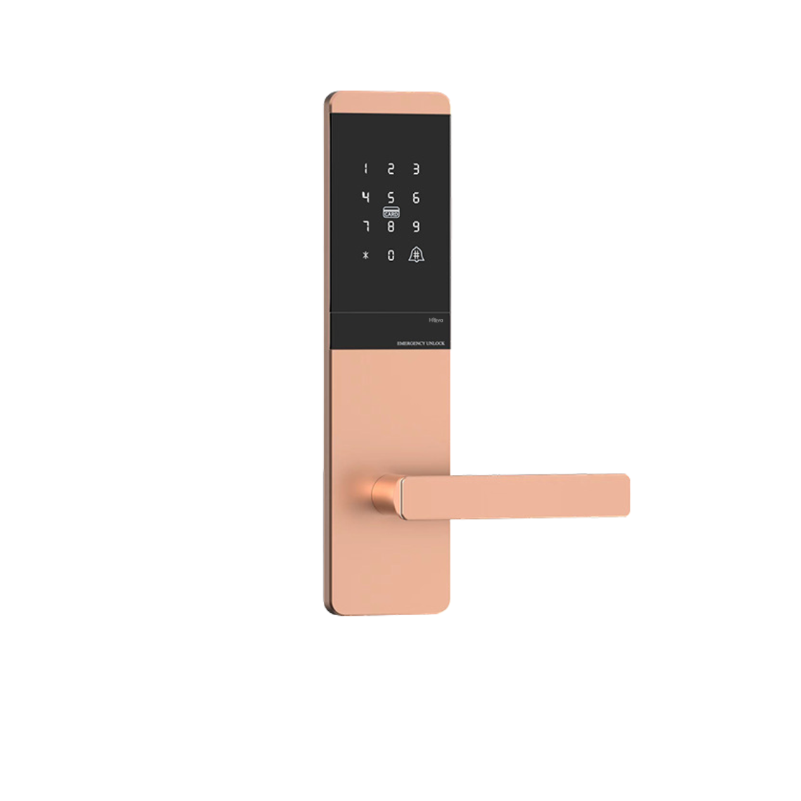 Serrure intelligente numérique avec fonction Bluetooth Ttlock-Tthotel pour hôtel, appartement, maison d'hôtes